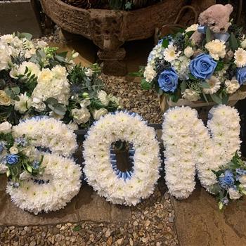Pure White Chrysanthemum Son Tribute