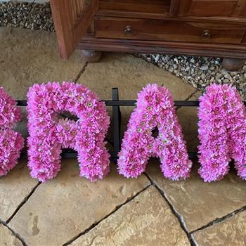 Pink Chrysanthemum and Spray Gran Tribute