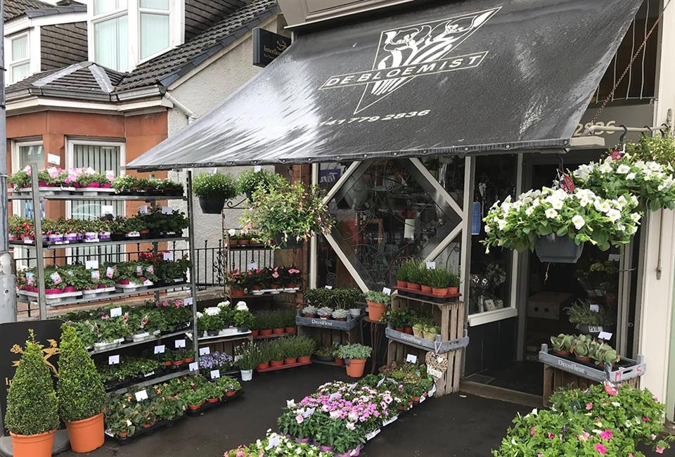 Stepps Glasgow Florist