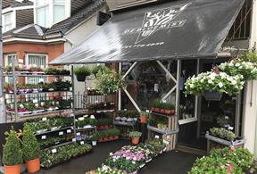Stepps Glasgow Florist