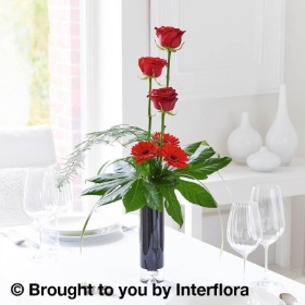 Elegant Crimson Rose and Germini Vase